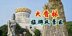 鸡巴插逼逼视频中国浙江-绍兴大香林旅游风景区